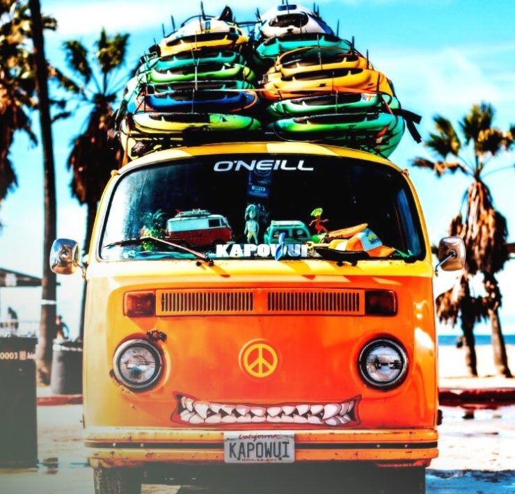 Mein Traum von Hawaii The Bold Woman