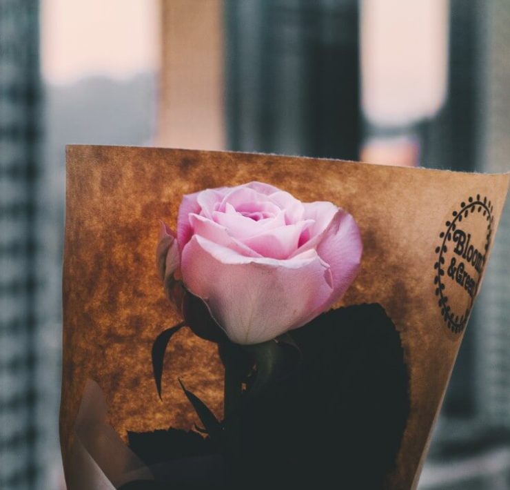 Undercover-The-Bold-Womam