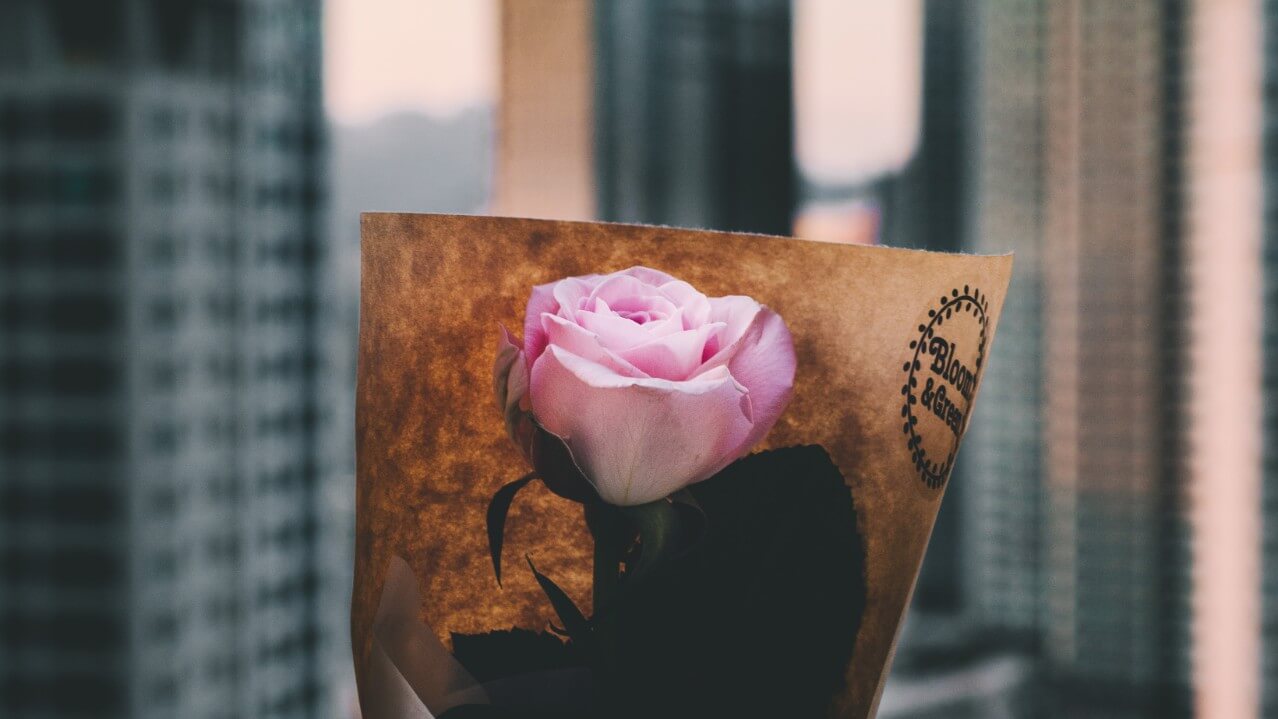 Undercover-The-Bold-Womam