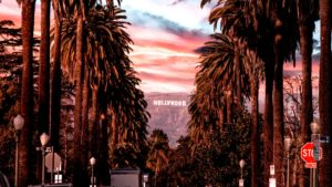 The Bold Woman Stories Hollywood USA