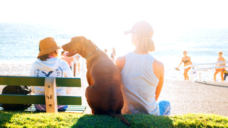 Meine beste Entscheidung The Bold Woman