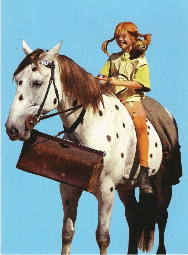 Auswandern nach Norwegen allein als Frau - Ruf der Wale und ein Hauch von Bullerbü. Pippi Langstrumpf - auswandern nach Norwegen -The Bold Woman
