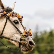 bunte welt The Bold Woman Stories