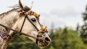 bunte welt The Bold Woman Stories