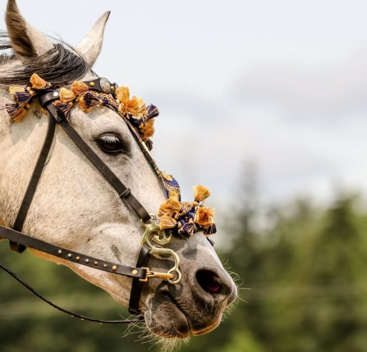 bunte welt The Bold Woman Stories