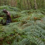 eddy-The-Bold-Woman-Story-by-Elke-Schmidt