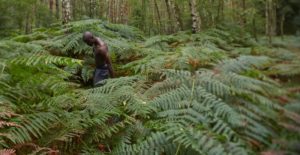 eddy-The-Bold-Woman-Story-by-Elke-Schmidt